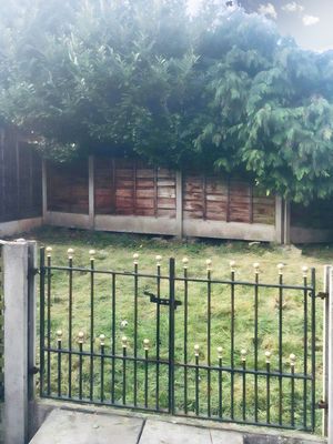 Rear Garden- click for photo gallery